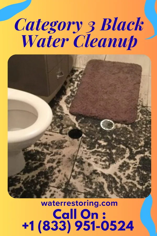 Category 3 Black Water Cleanup in South Mount Vernon, OH