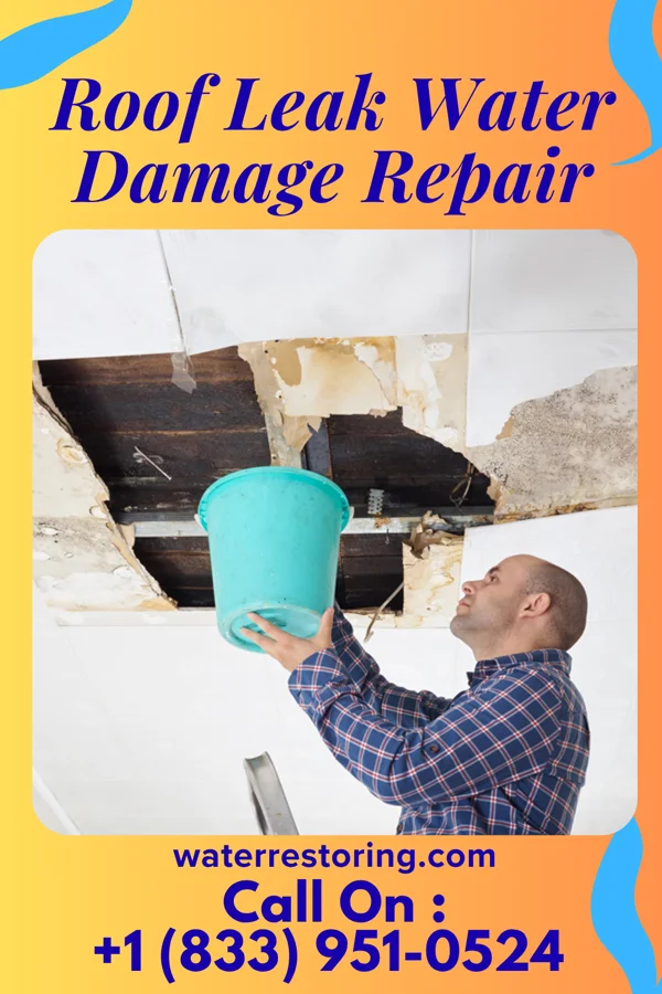 Roof Leak Water Damage Repair in South Mount Vernon, OH