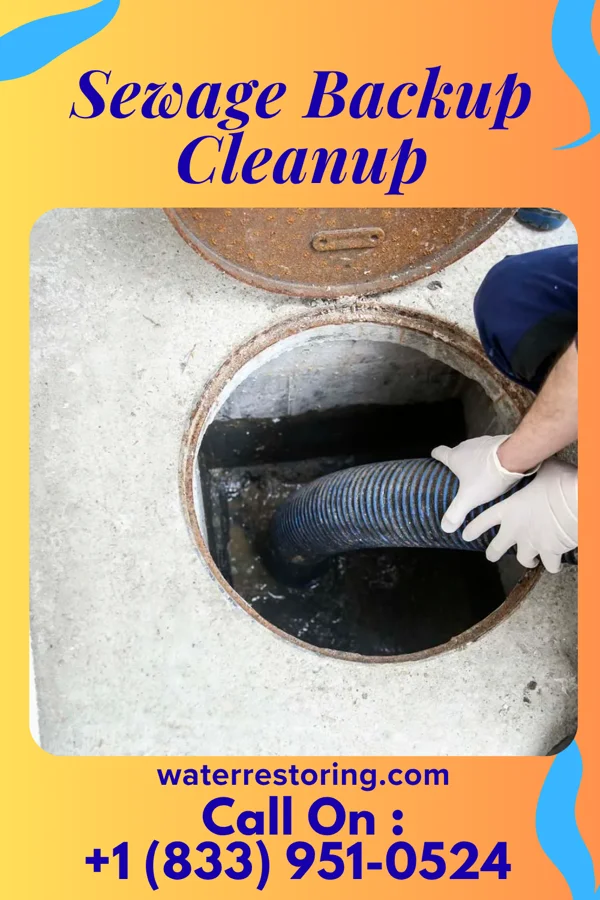 Sewage Backup Cleanup in South Mount Vernon, OH