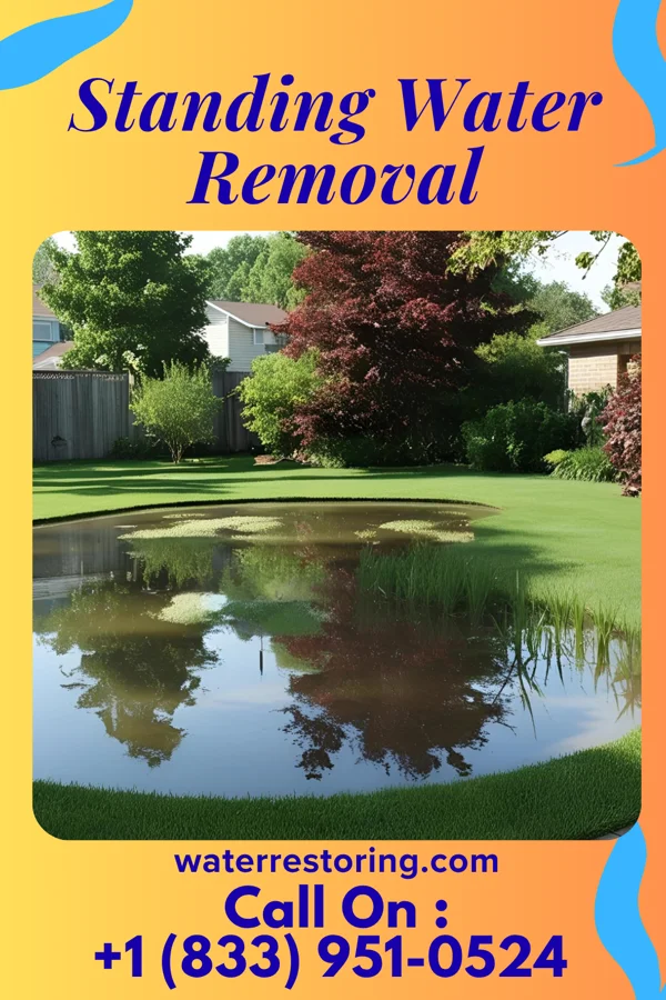 Standing Water Removal in South Mount Vernon, OH
